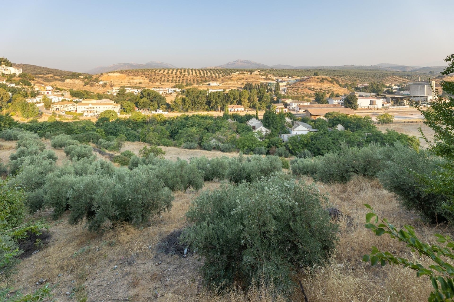  en venta terreno Iznalloz Montes (Los) 2