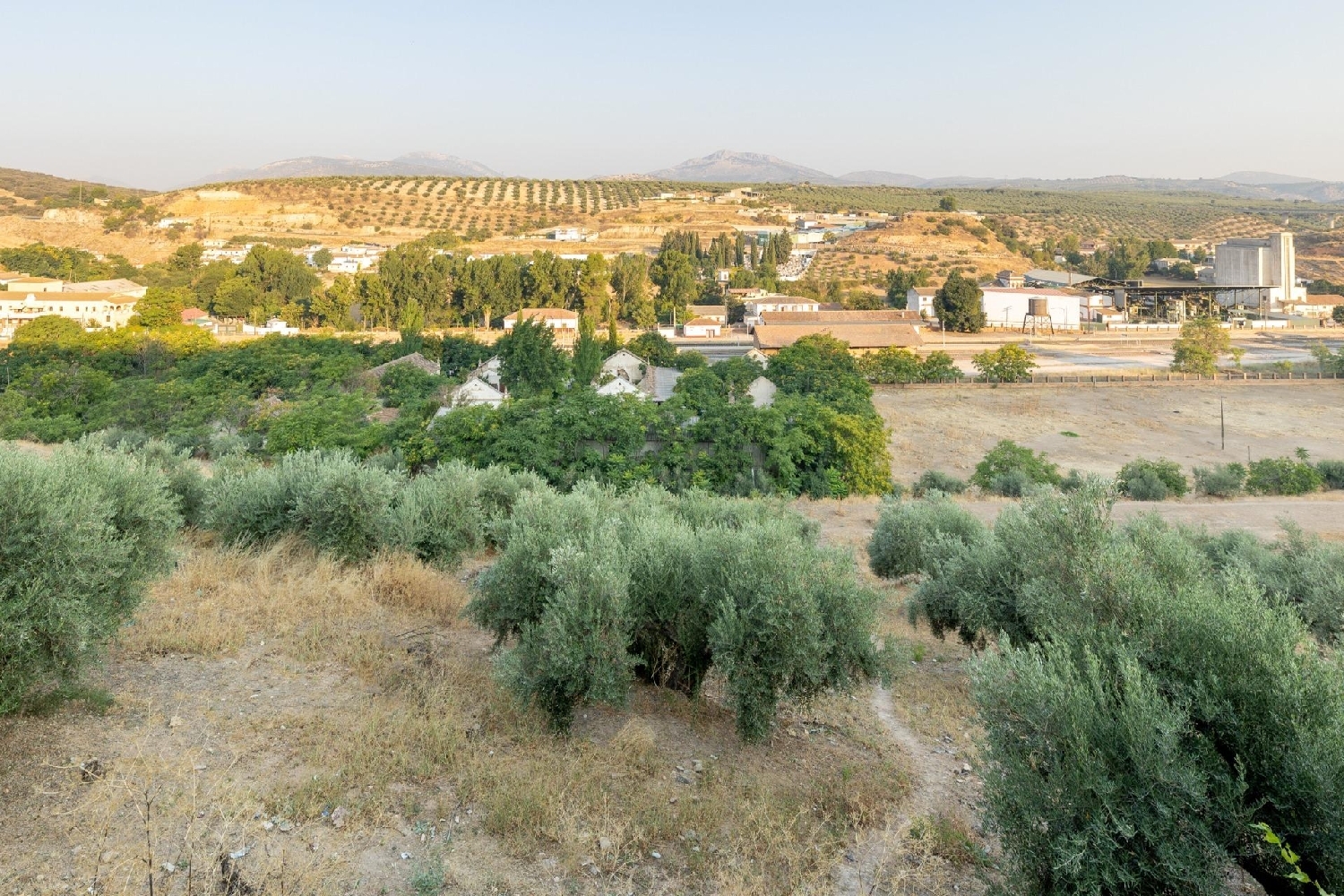  en venta terreno Iznalloz Montes (Los) 4