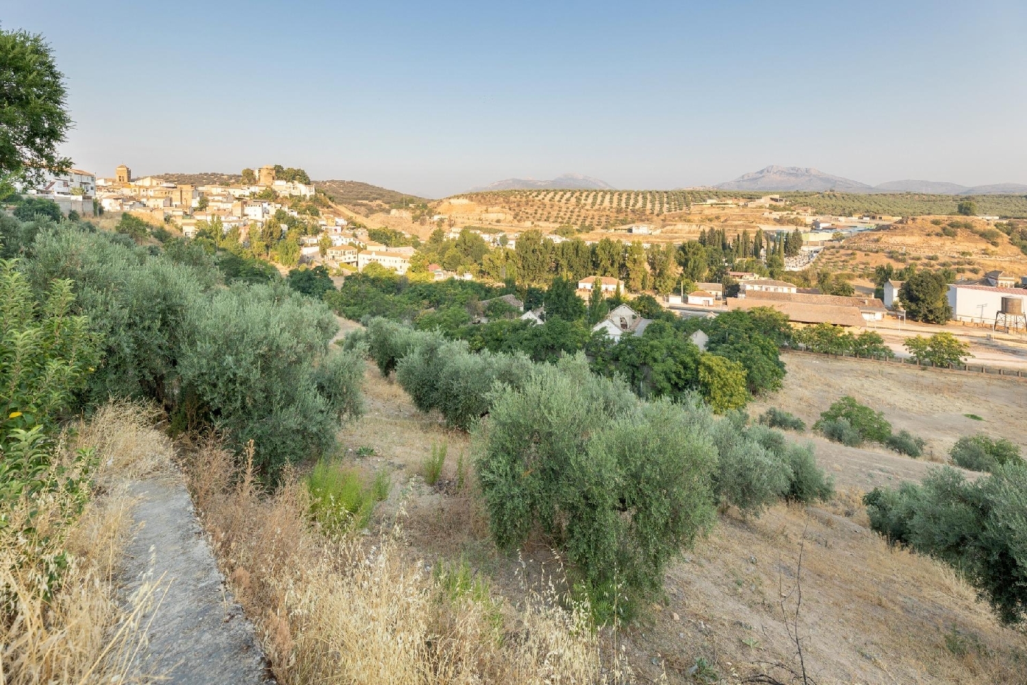  en venta terreno Iznalloz Montes (Los) 3