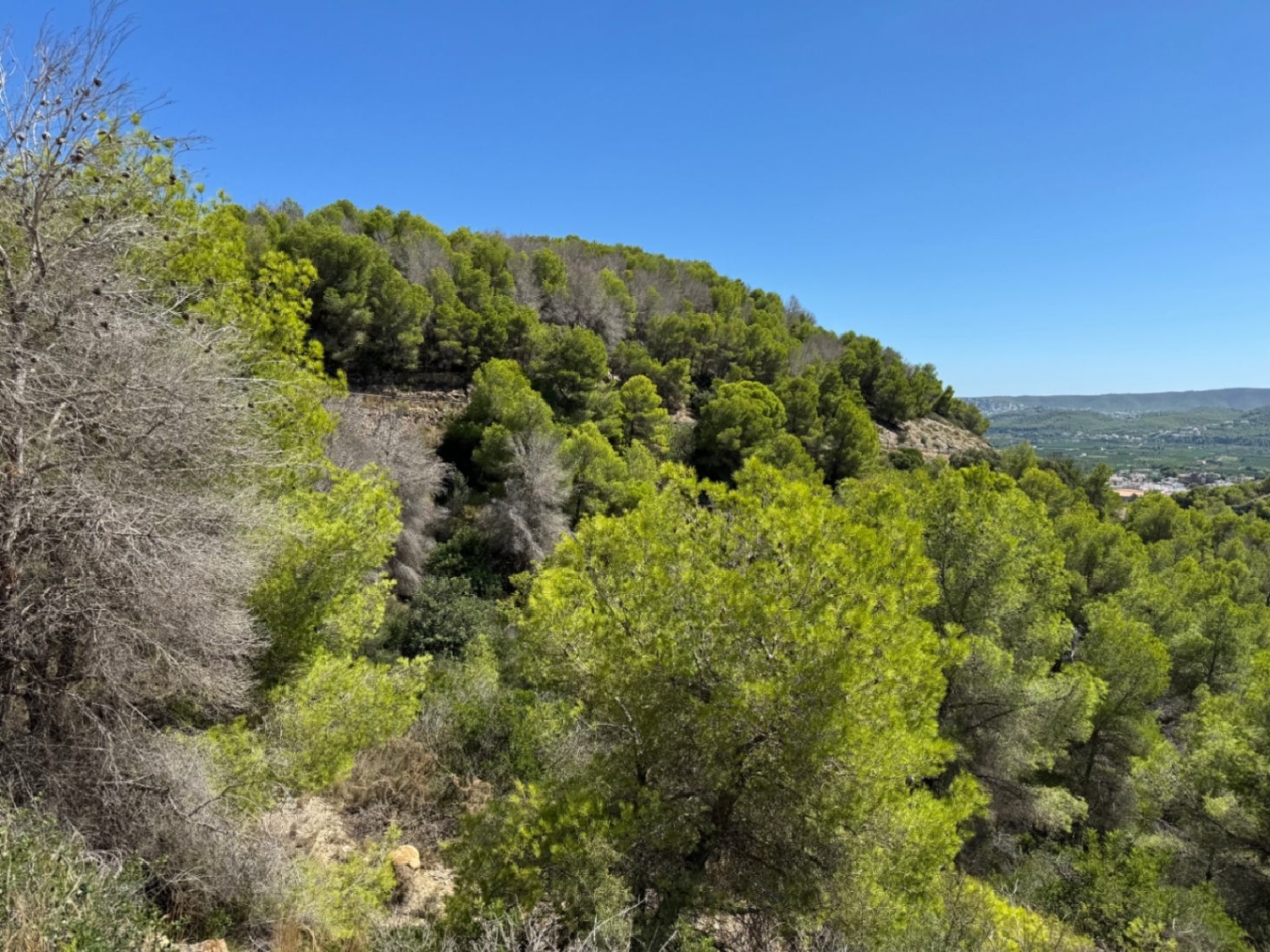  for sale plot Jávea Marina Alta 5