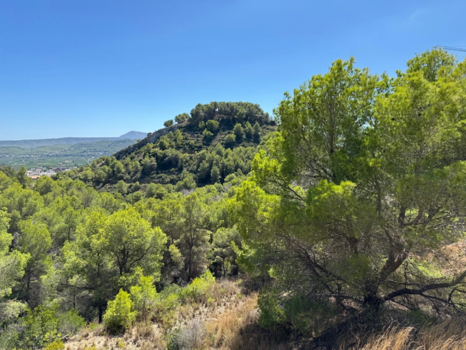  for sale plot Jávea Marina Alta 2