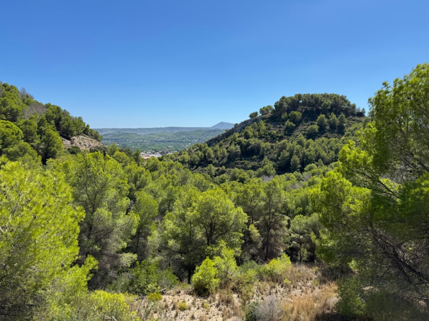  for sale plot Jávea Marina Alta 4