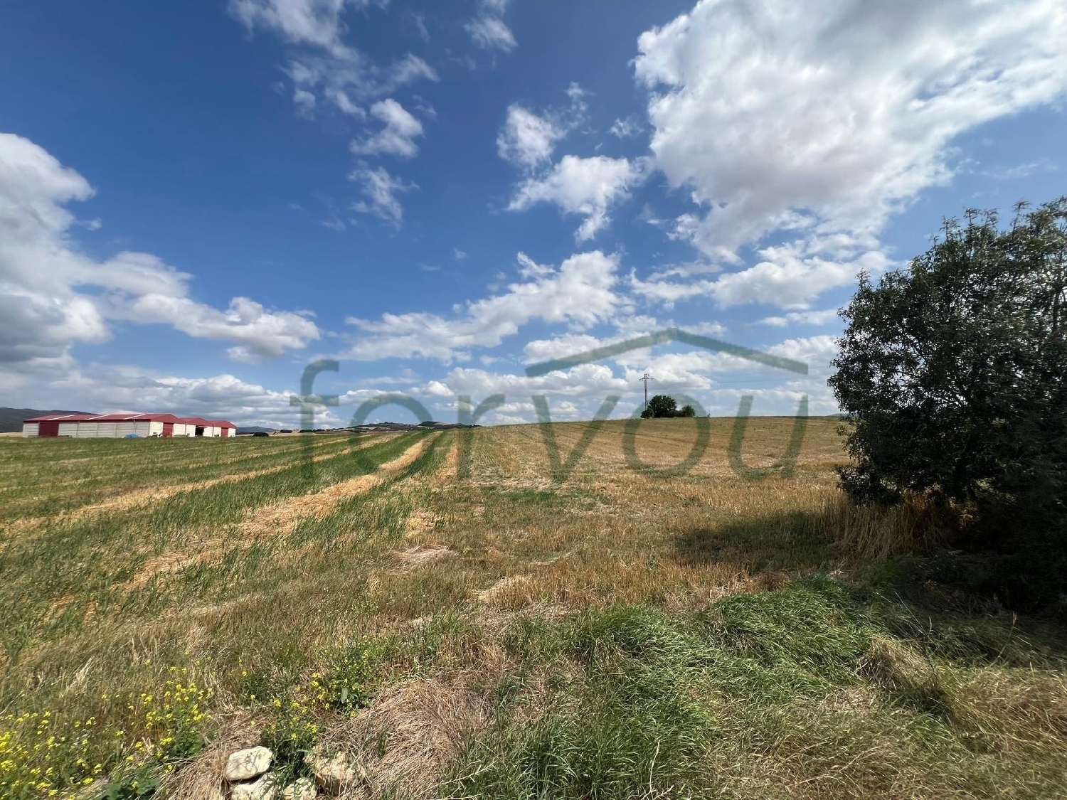  te koop perceel La Puebla De Arganzón Ebro 5