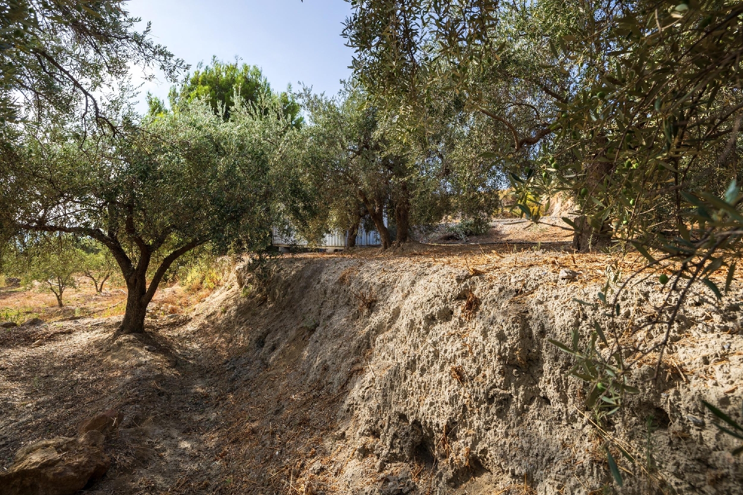  till salu tomt Lanjarón Alpujarra Granadina 8