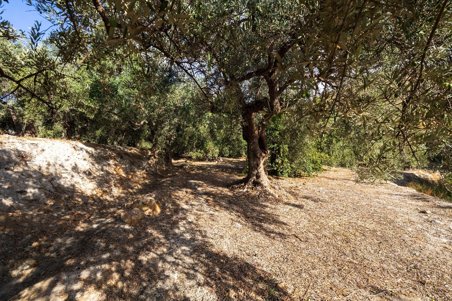  till salu tomt Lanjarón Alpujarra Granadina 5