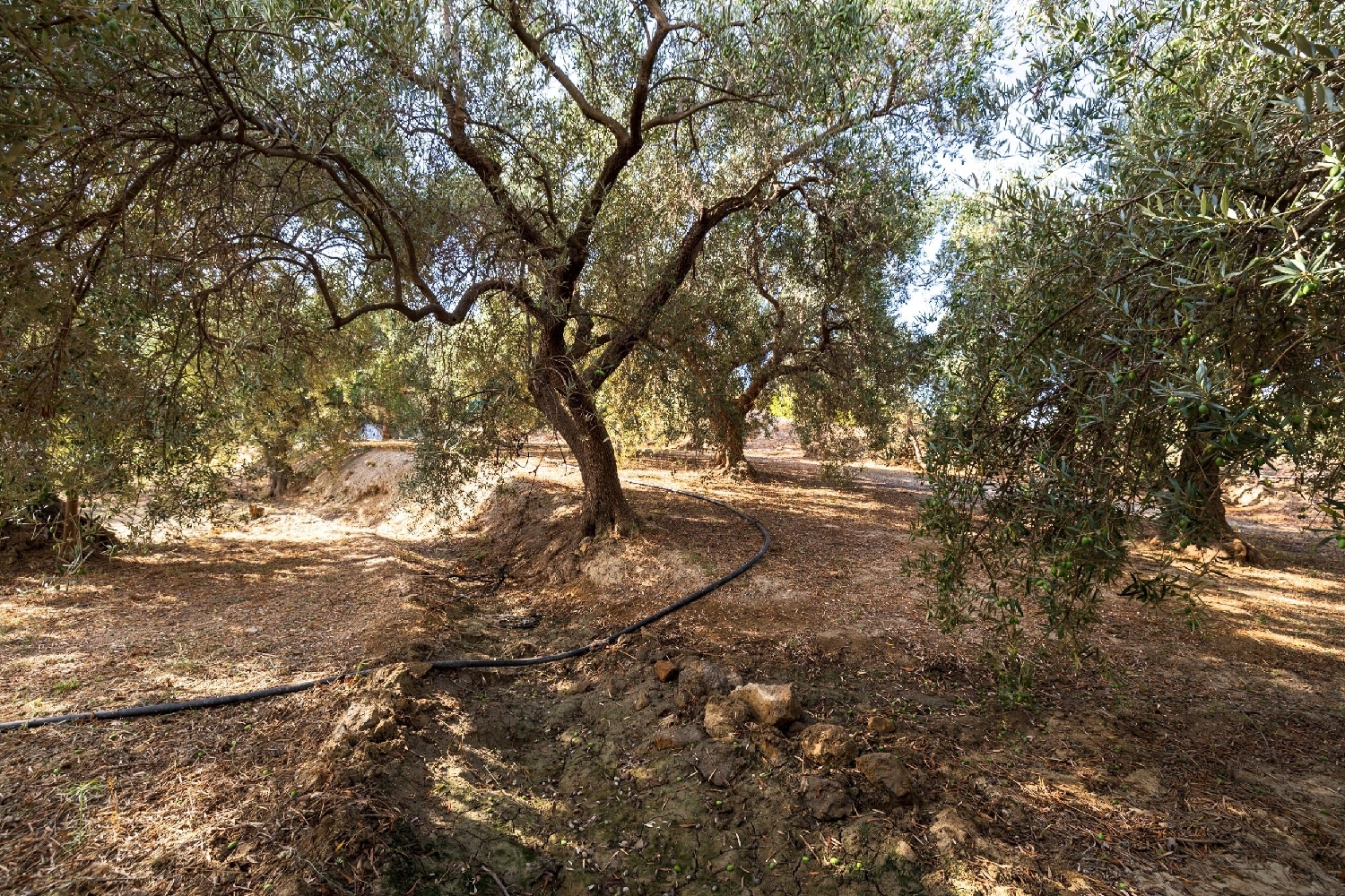  till salu tomt Lanjarón Alpujarra Granadina 2