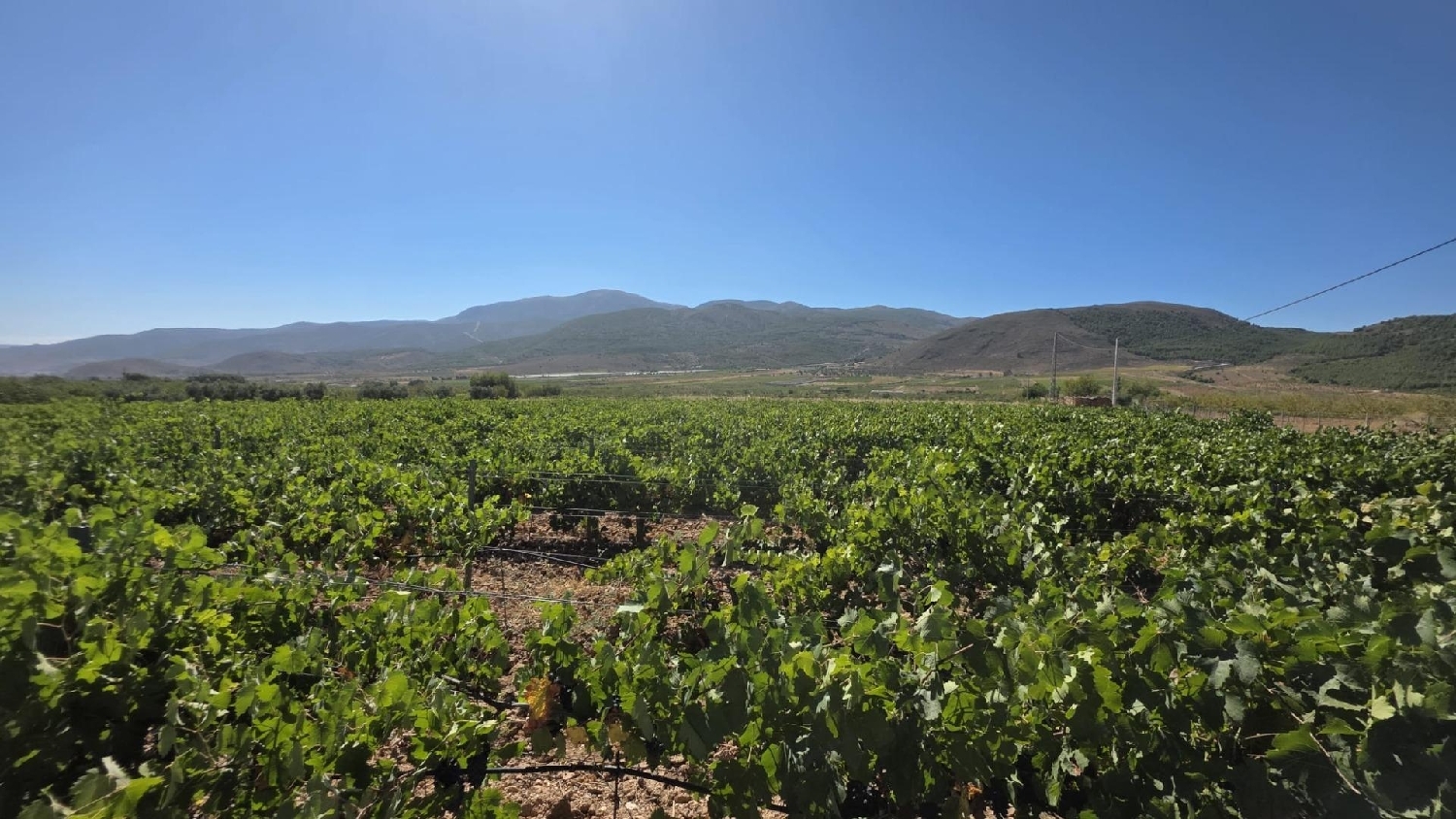  te koop perceel Láujar De Andarax Alpujarra Almeriense 8