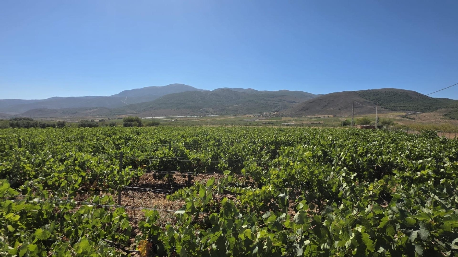  te koop perceel Láujar De Andarax Alpujarra Almeriense 5