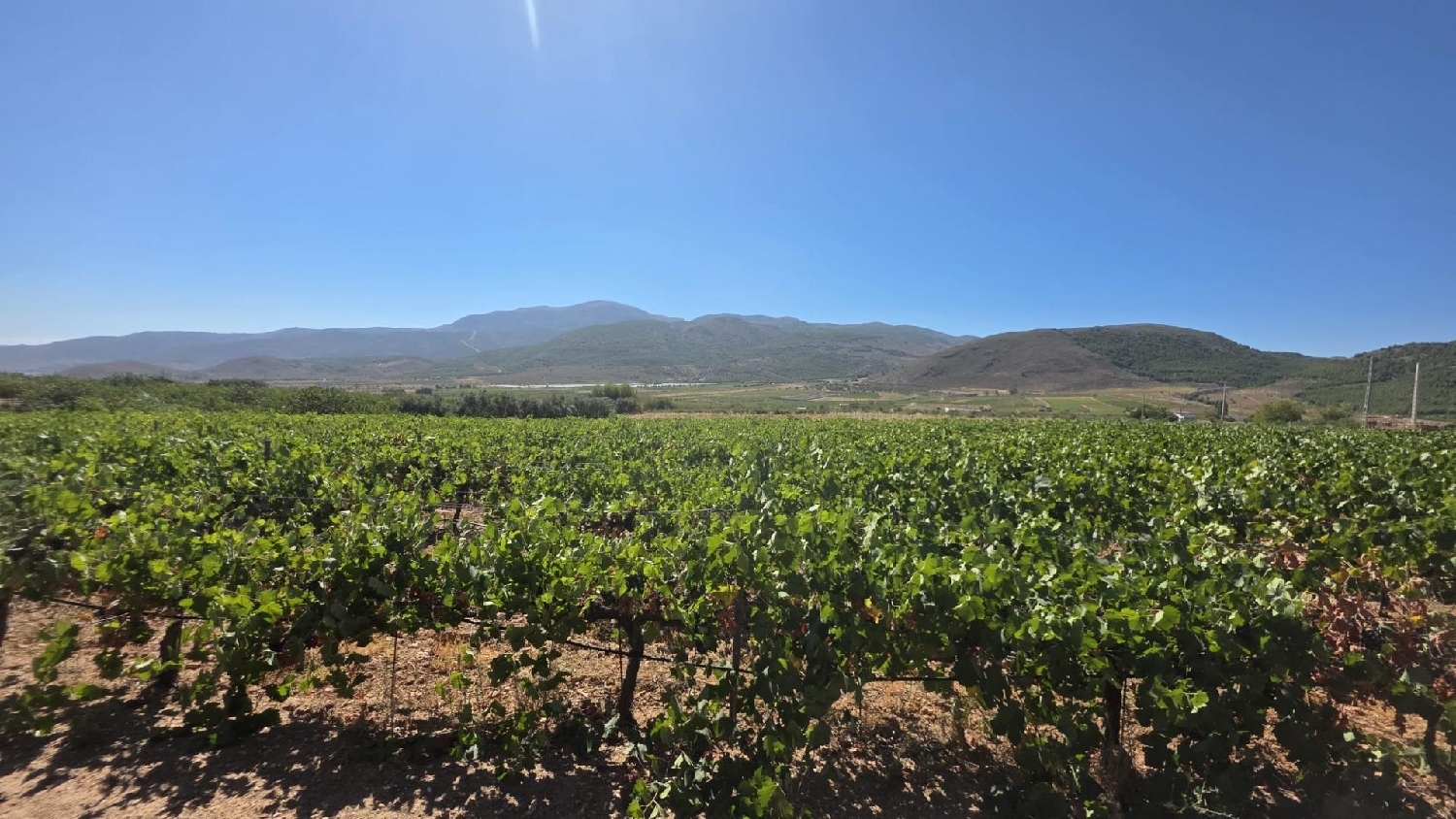 te koop perceel Láujar De Andarax Alpujarra Almeriense 3