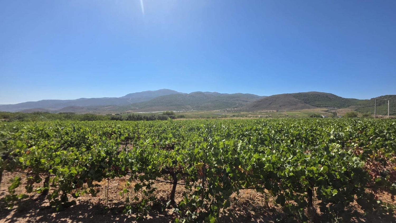  te koop perceel Láujar De Andarax Alpujarra Almeriense 4