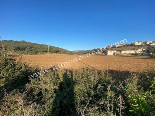 Lezáun Tierra Estella terreno foto 6295445