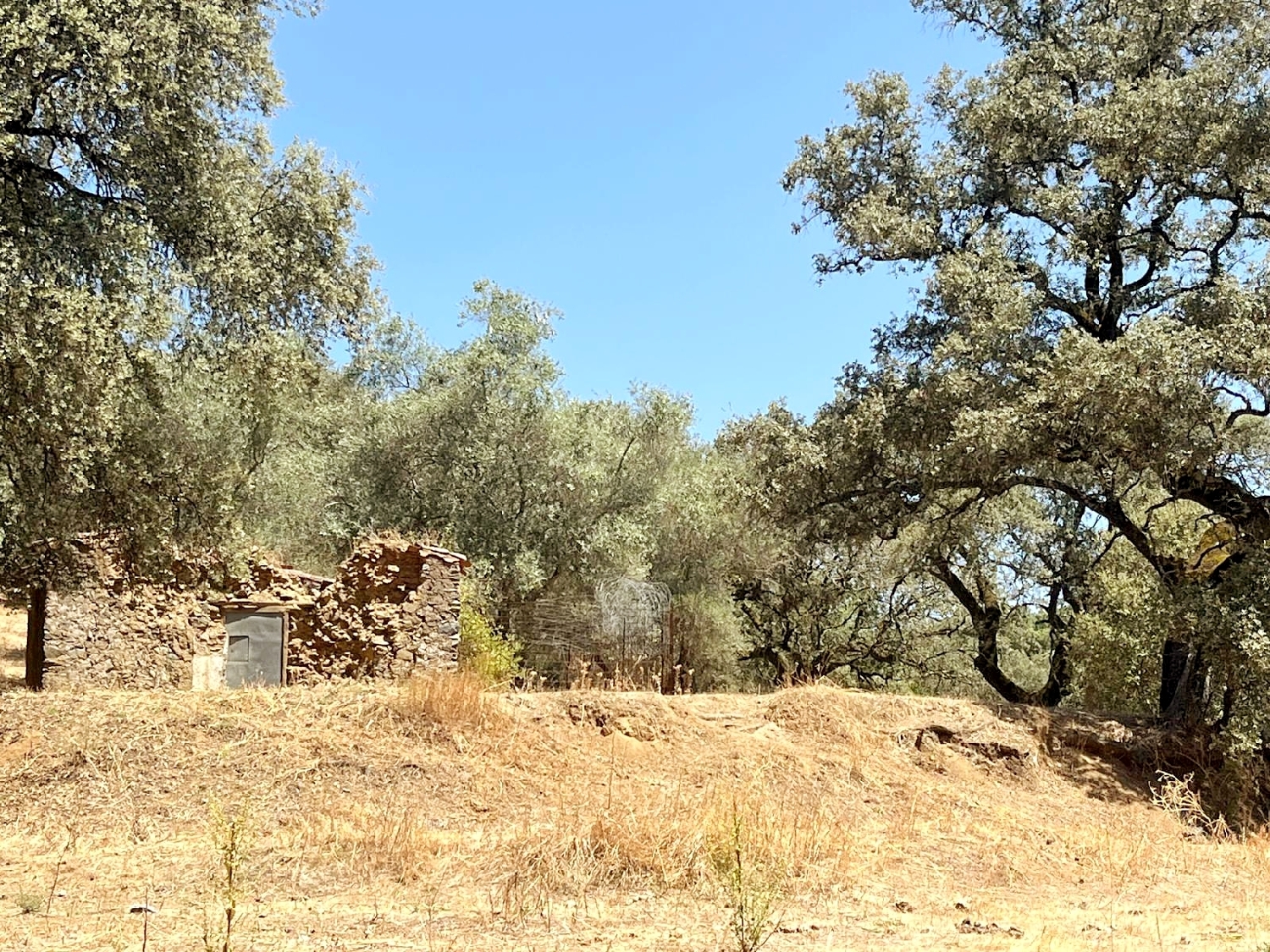  te koop perceel Linares De La Sierra Sierra De Huelva 7