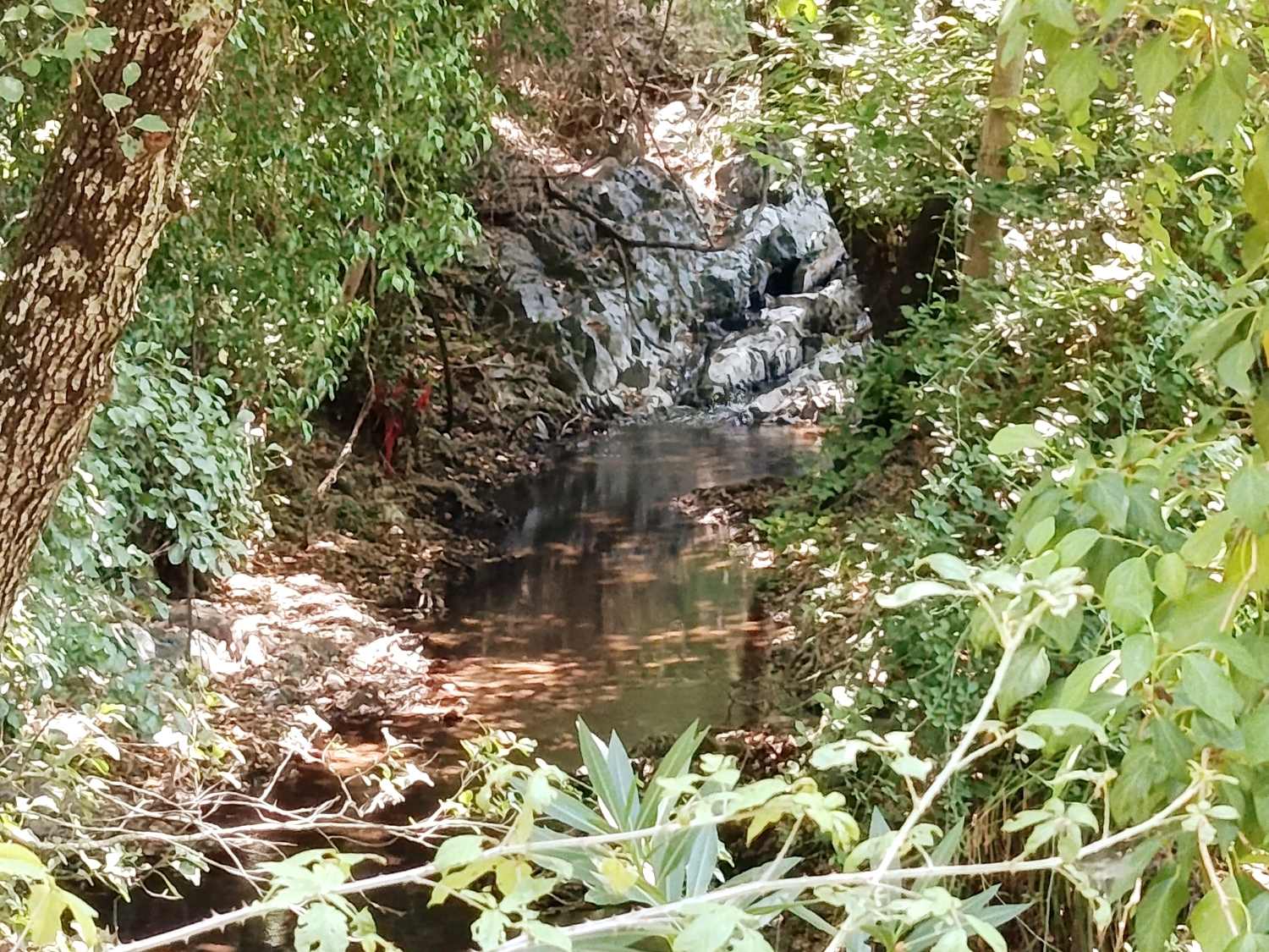  te koop perceel Linares De La Sierra Sierra De Huelva 4