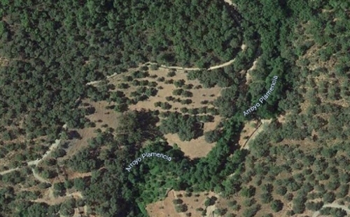 Linares De La Sierra Sierra De Huelva terrain foto 6293726
