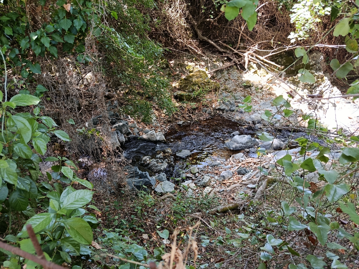 te koop perceel Linares De La Sierra Sierra De Huelva 2