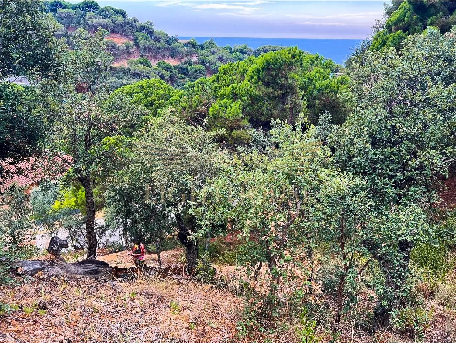  en venta terreno Lloret De Mar Selva 8