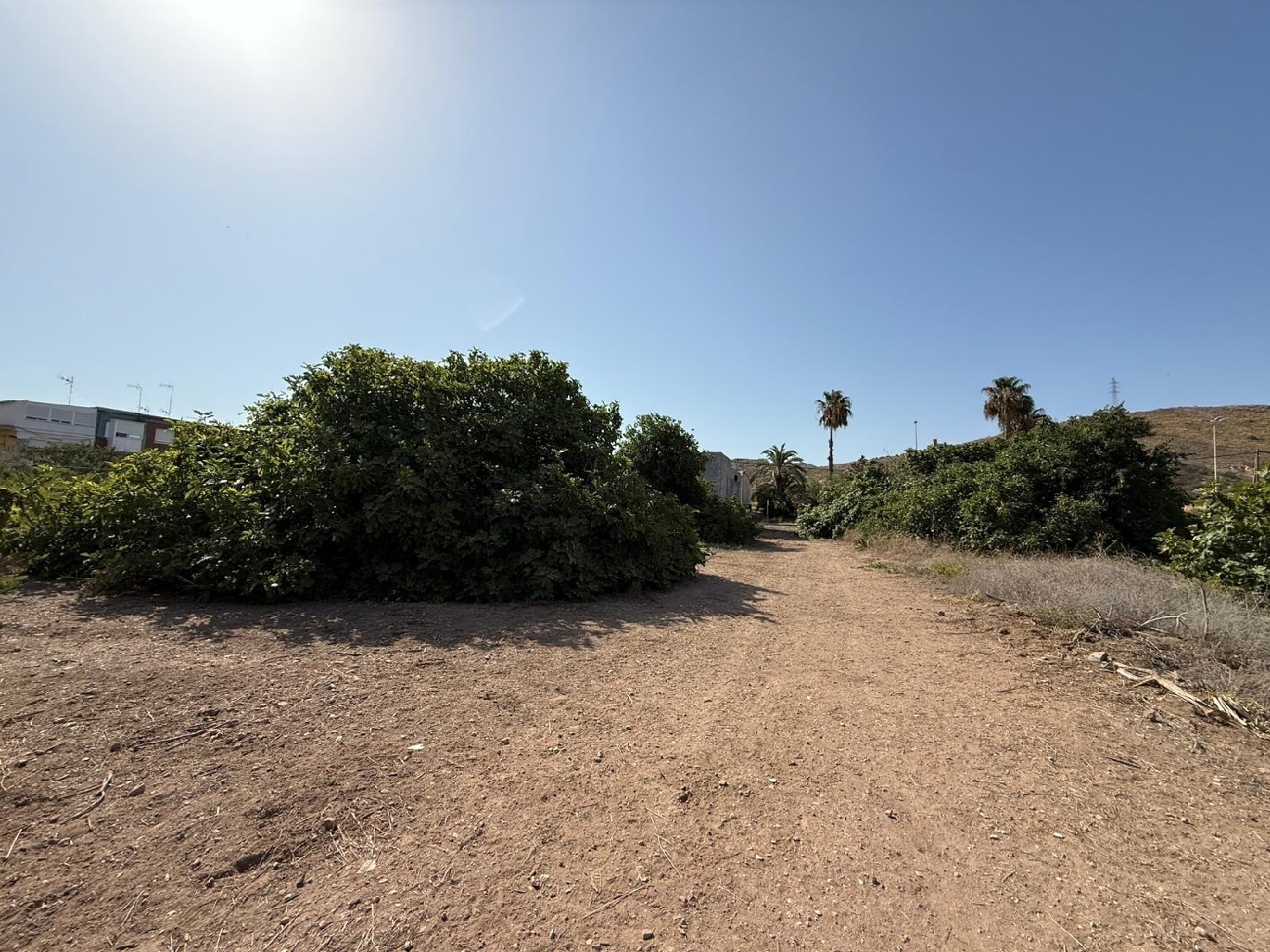  for sale plot Lo Cartagena Baix Segura 6