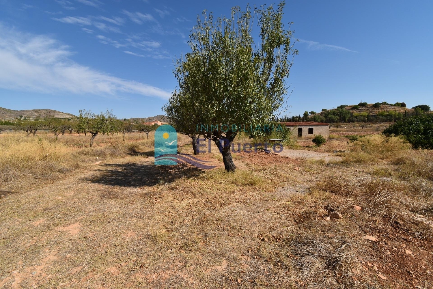  for sale plot Lo Cartagena Baix Segura 1