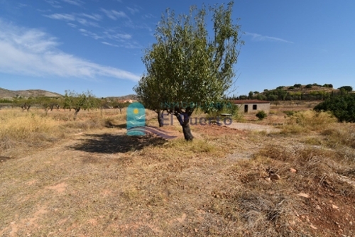 Lo Cartagena Baix Segura plot foto 6300692