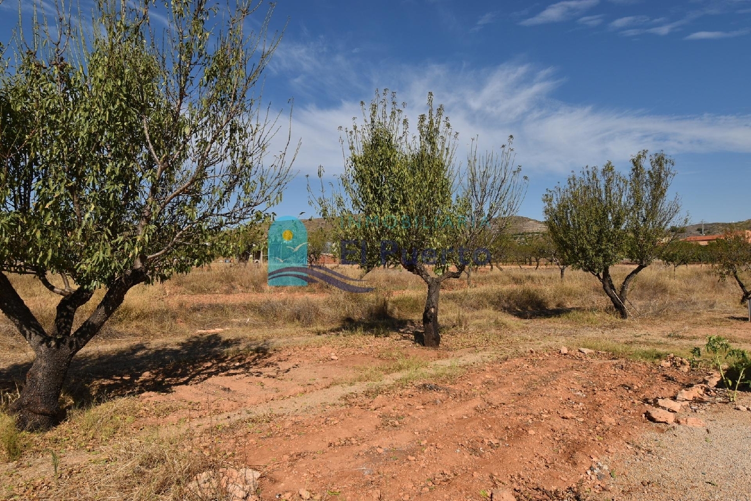  for sale plot Lo Cartagena Baix Segura 7