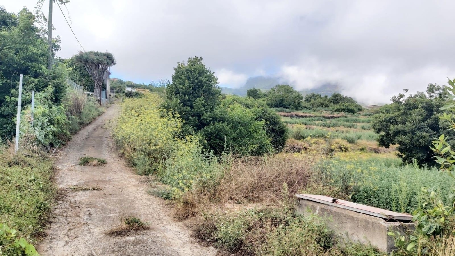  for sale plot Los Realejos Zona Norte 4