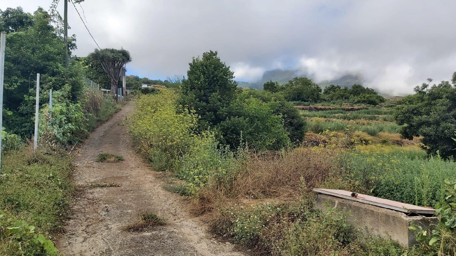  for sale plot Los Realejos Zona Norte 6