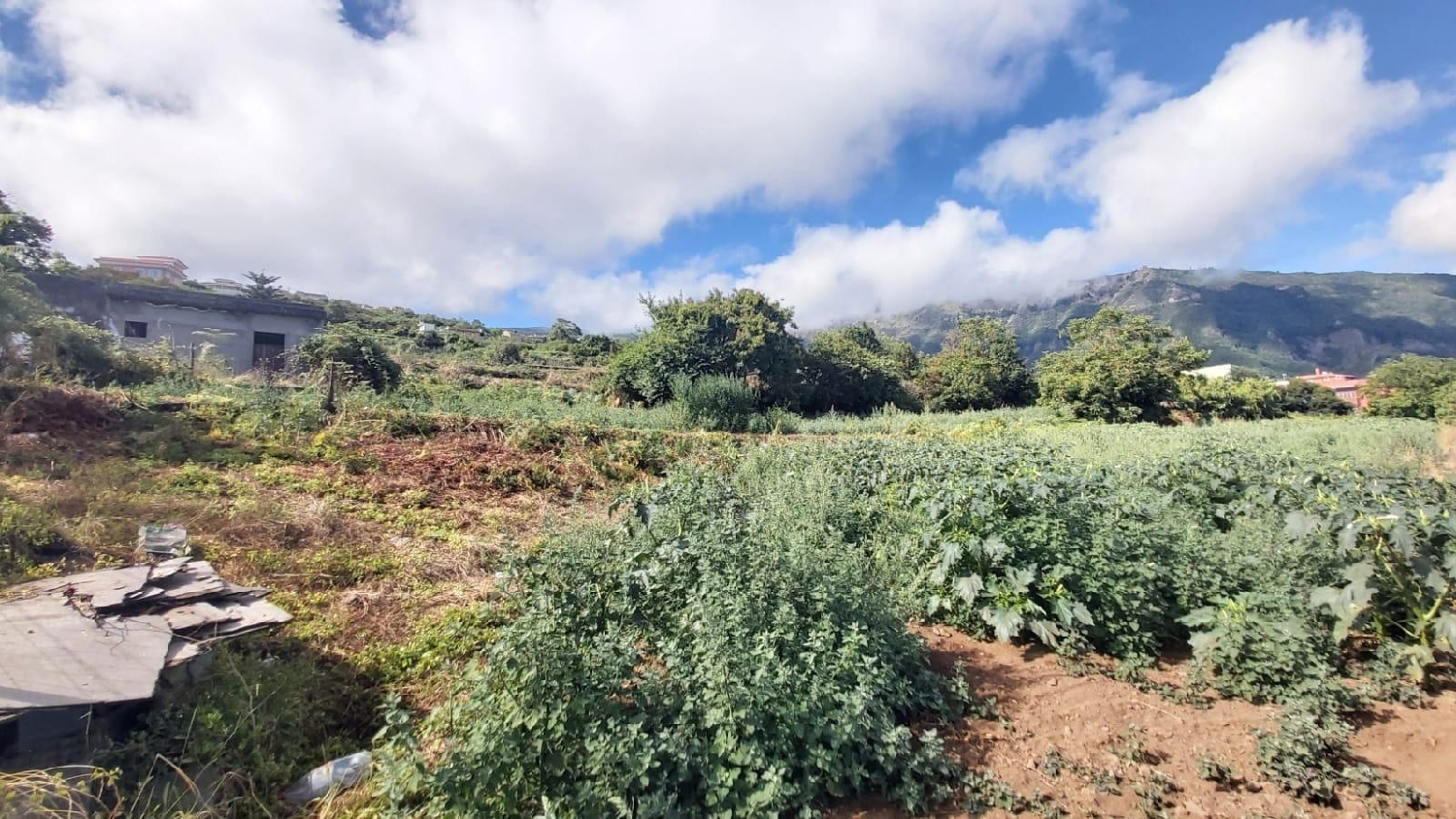  for sale plot Los Realejos Zona Norte 2