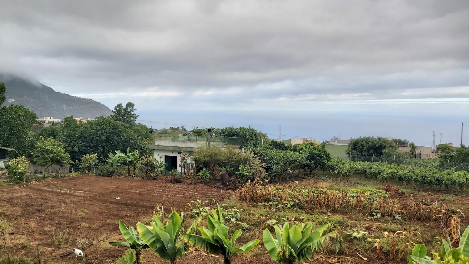  for sale plot Los Realejos Zona Norte 2