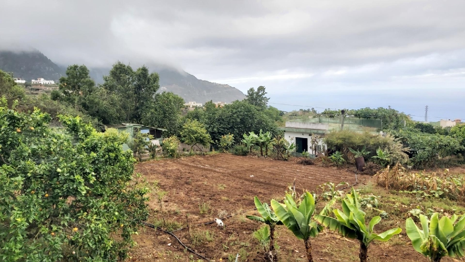  for sale plot Los Realejos Zona Norte 1