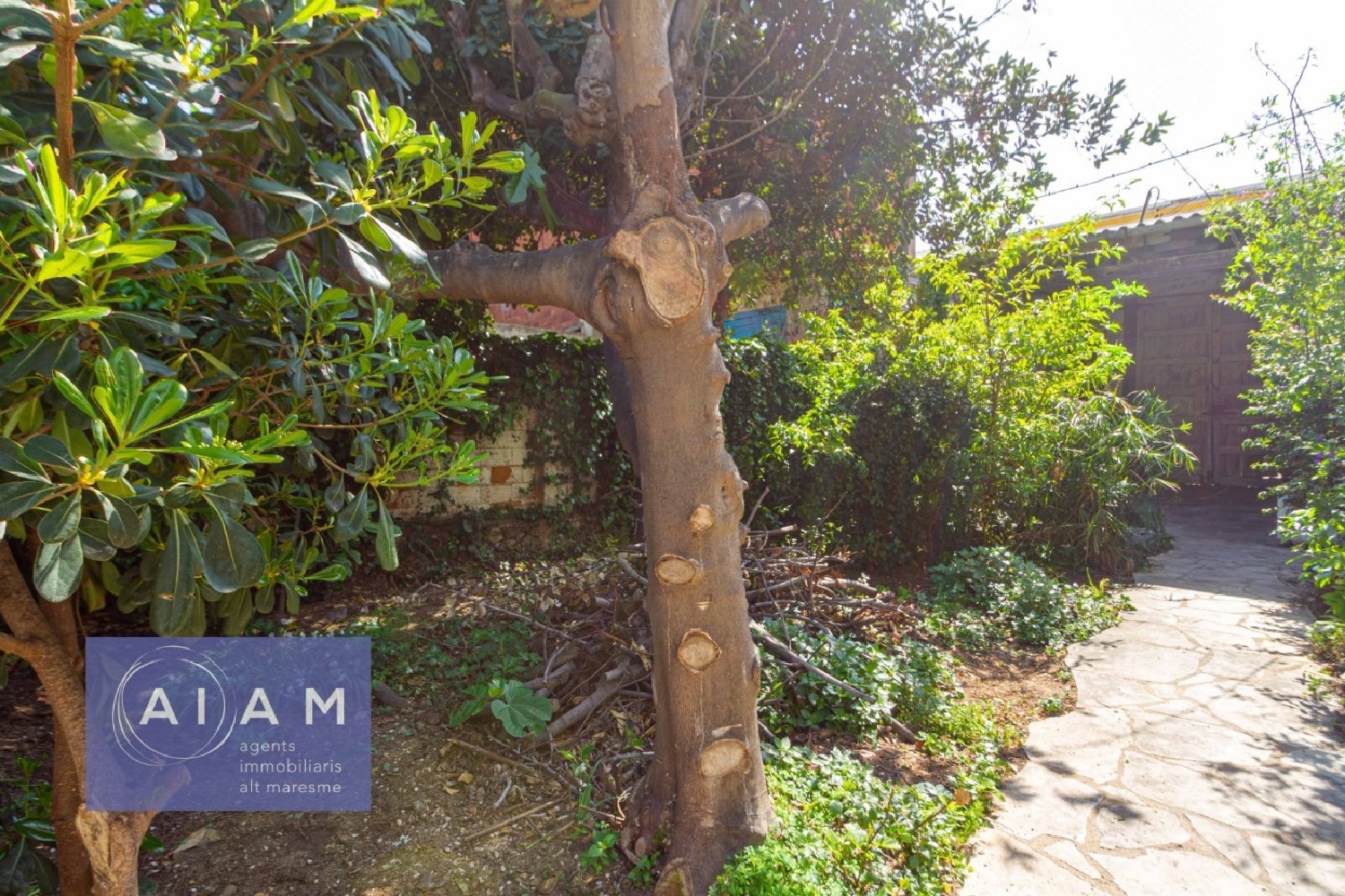  for sale plot Malgrat De Mar Maresme 2