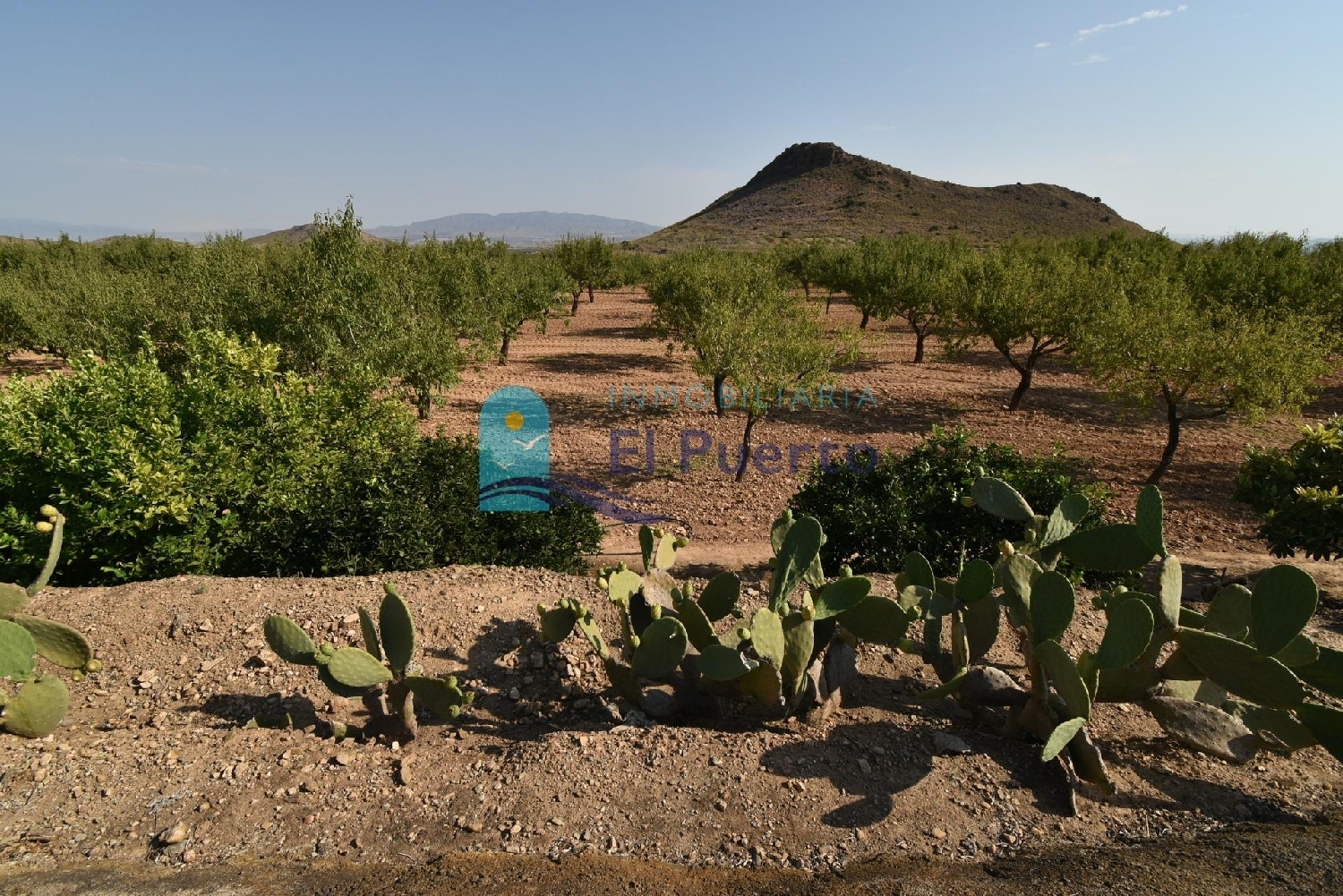  for sale plot Mazarrón Bajo Guadalentín 1