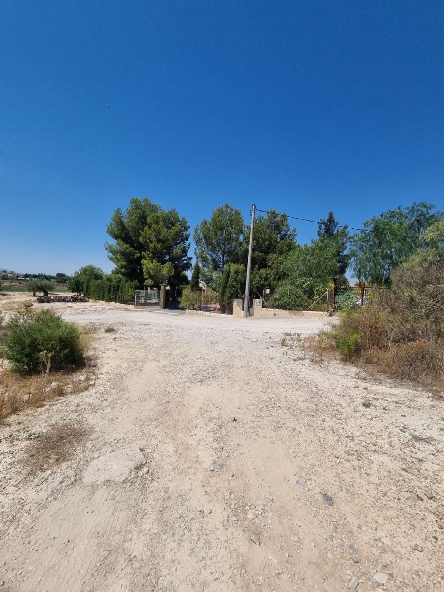 for sale plot Molina De Segura Vega Media Del Segura 1