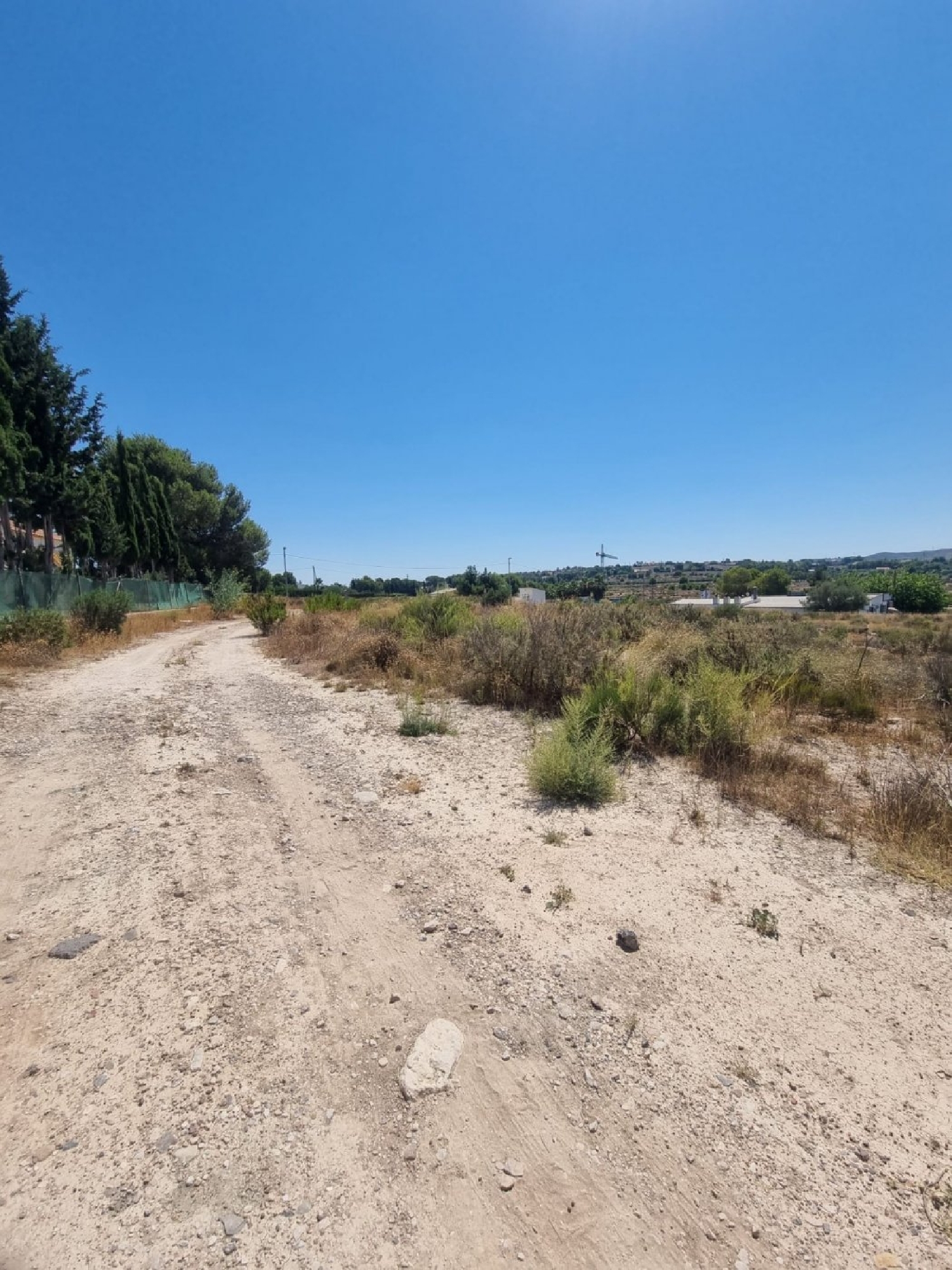  for sale plot Molina De Segura Vega Media Del Segura 6