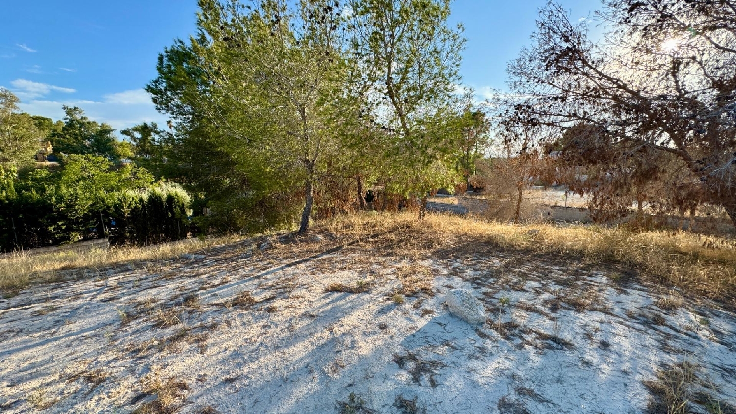  en venta terreno Molina De Segura Vega Media Del Segura 3