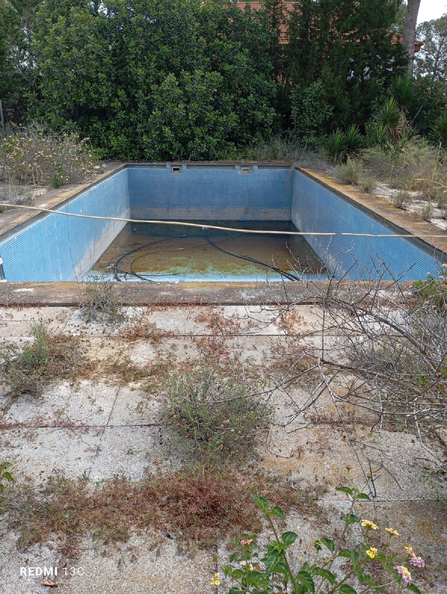  en venta terreno Molina De Segura Vega Media Del Segura 6