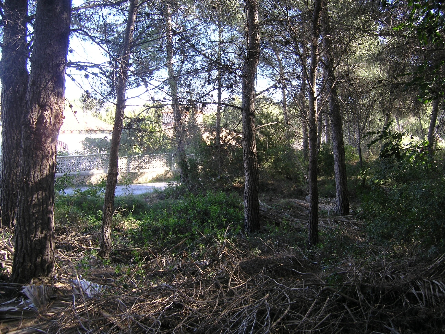  à vendre terrain Moraira Marina Alta 10