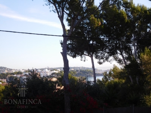 Palmanova Ponent tomt foto 6301377