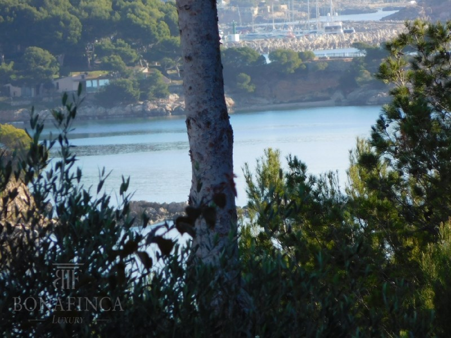  till salu tomt Palmanova Ponent 8