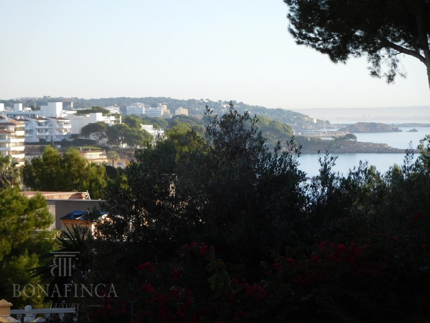  till salu tomt Palmanova Ponent 5