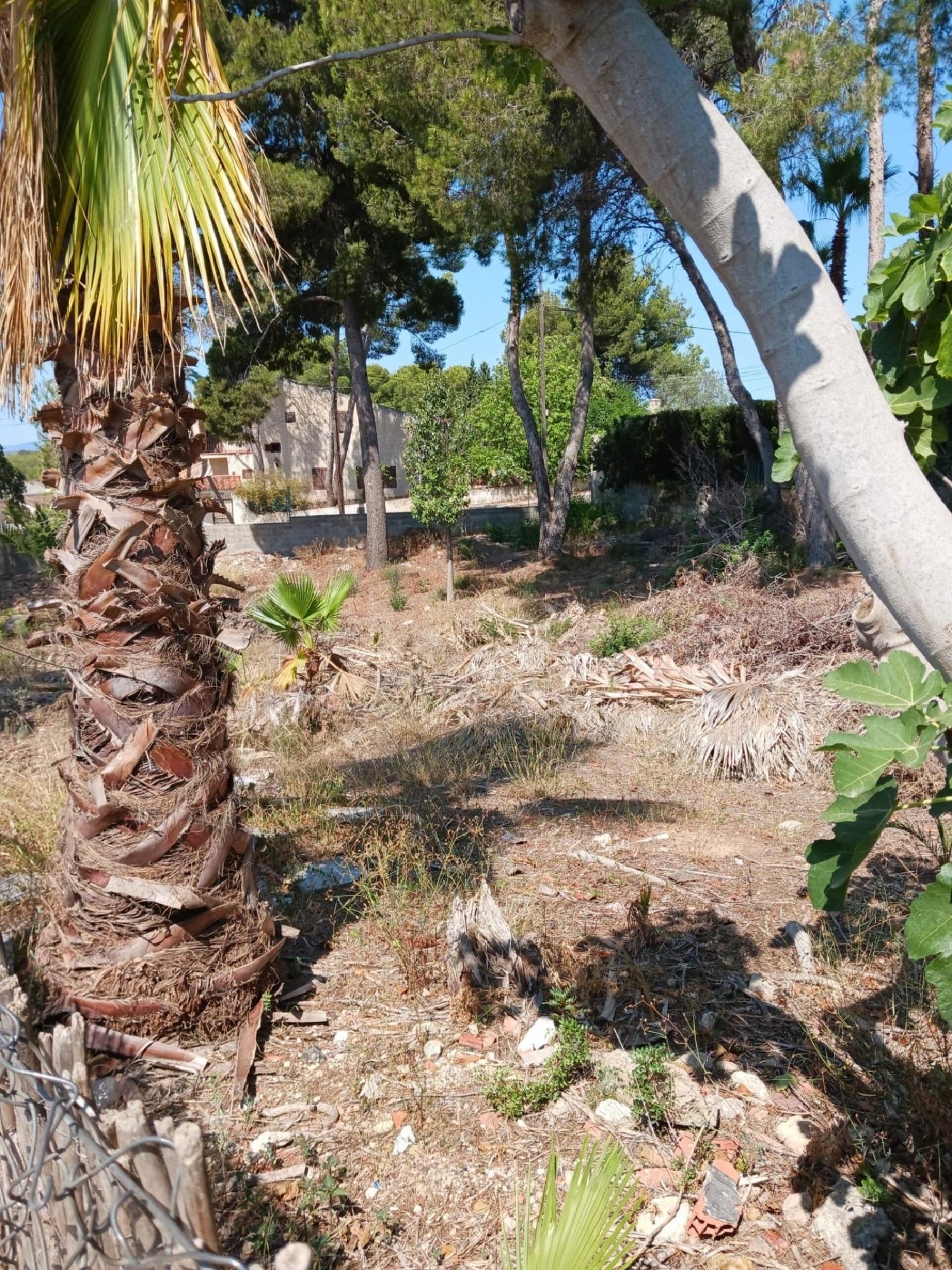  till salu tomt Paterna Del Madera Sierra Del Segura 2