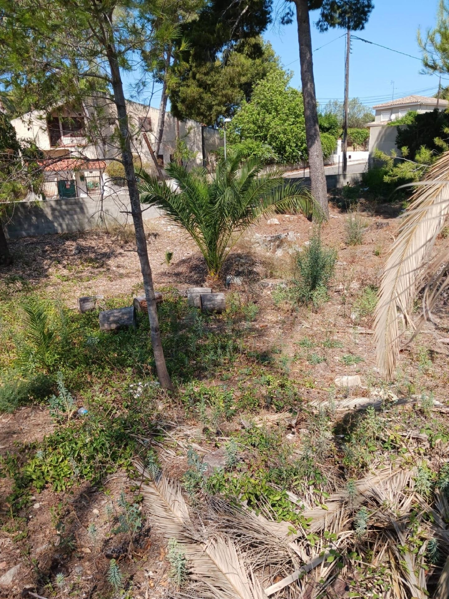  till salu tomt Paterna Del Madera Sierra Del Segura 6