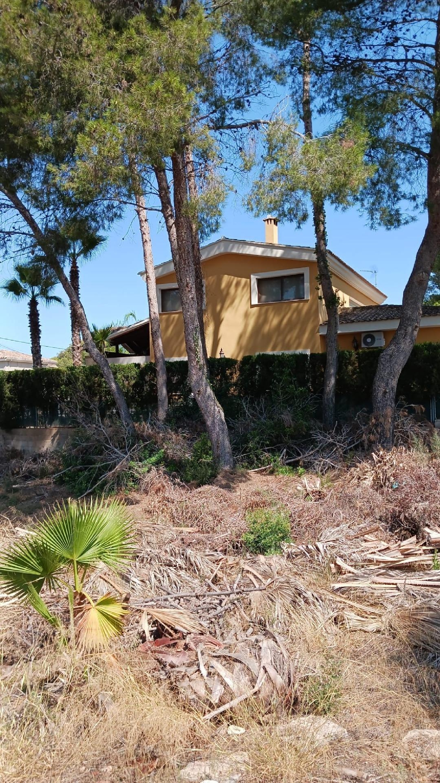  till salu tomt Paterna Del Madera Sierra Del Segura 7