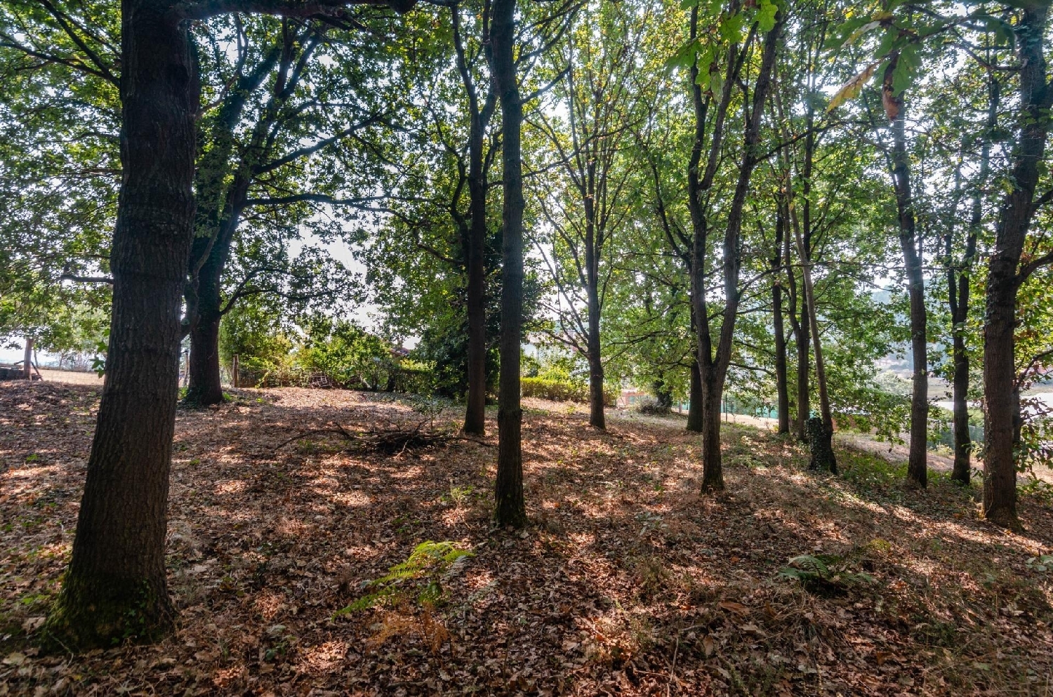 kaufen Grundstück Pobladura De Las Regueras Bierzo (El) 3