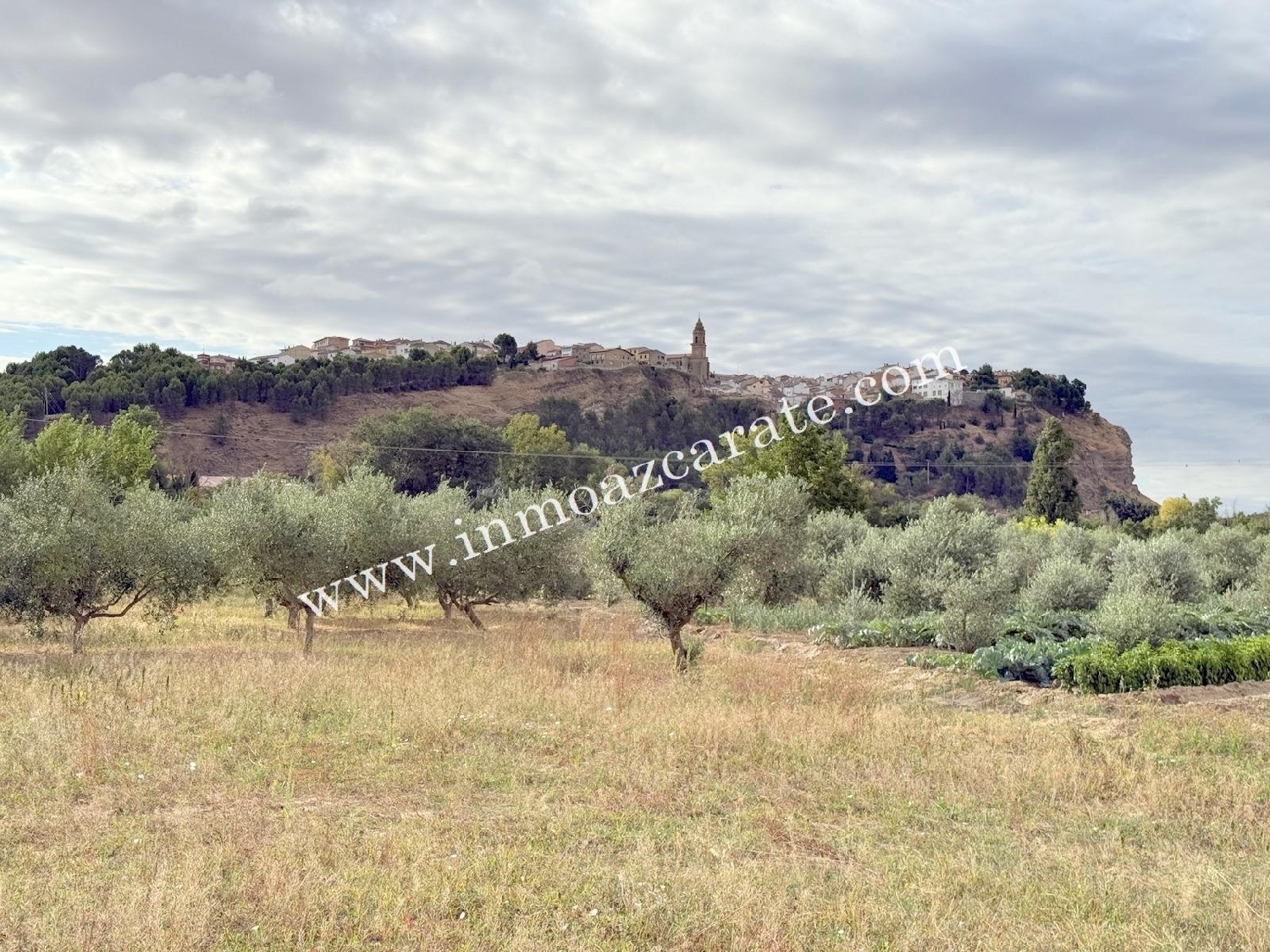  for sale plot Regueru Llerin Nalón 7