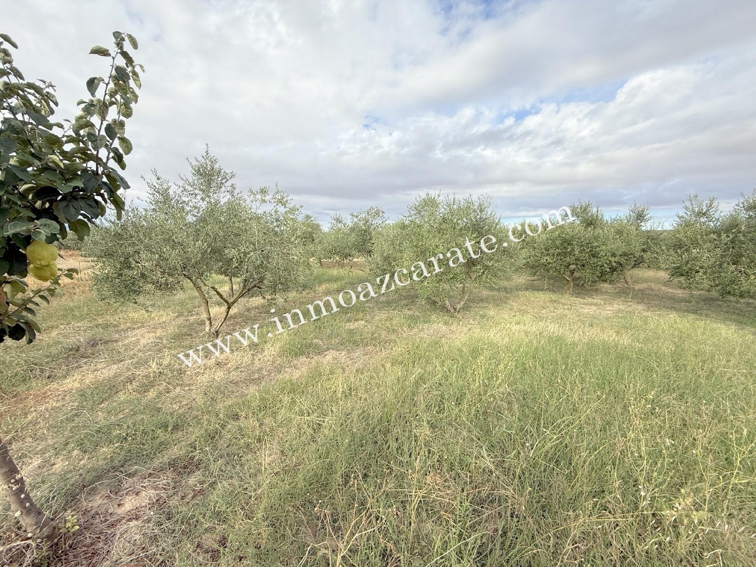  for sale plot Regueru Llerin Nalón 4