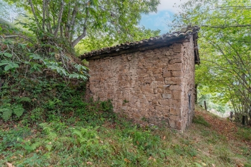 San Martín Del Rey Aurelio Nalón plot foto 6297814