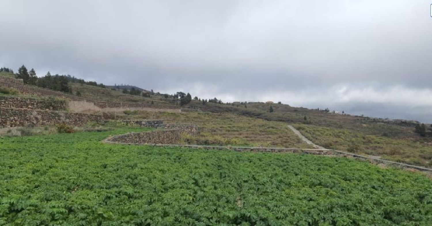  for sale plot San Miguel De Abona Zona Sur 4