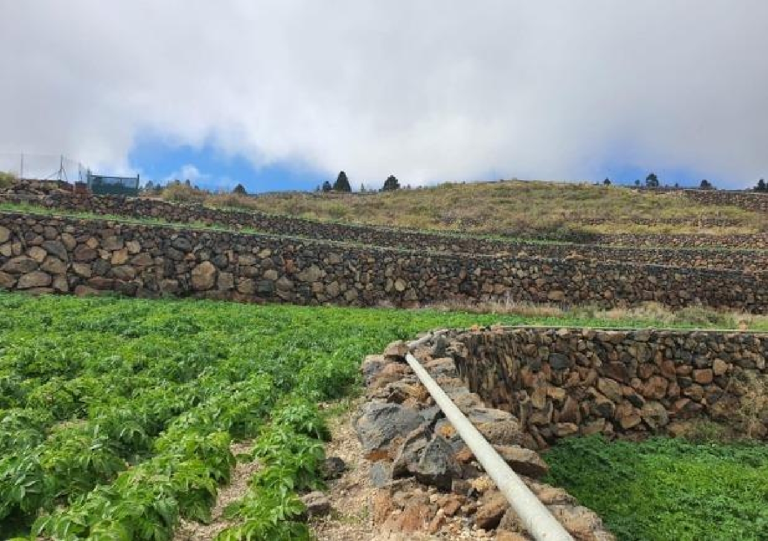  for sale plot San Miguel De Abona Zona Sur 3