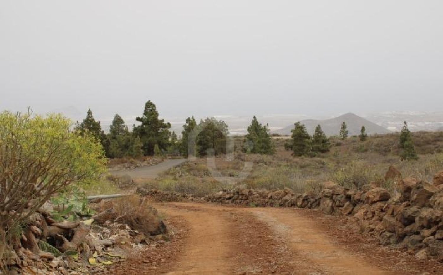 for sale plot San Miguel De Abona Zona Sur 6