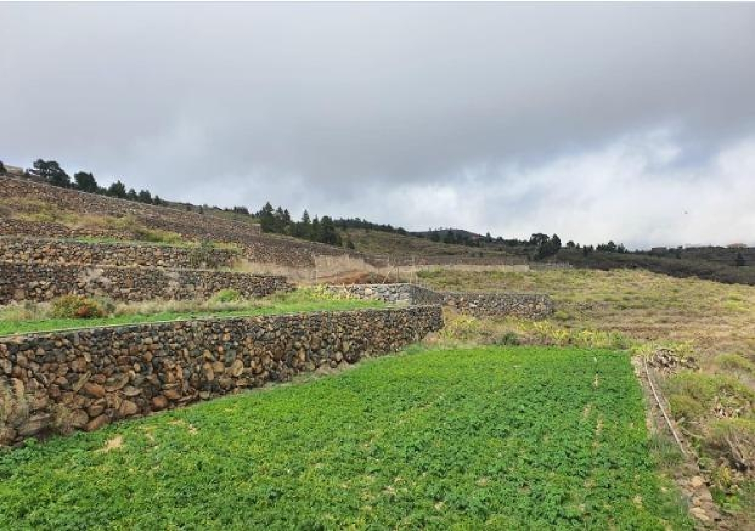  for sale plot San Miguel De Abona Zona Sur 1
